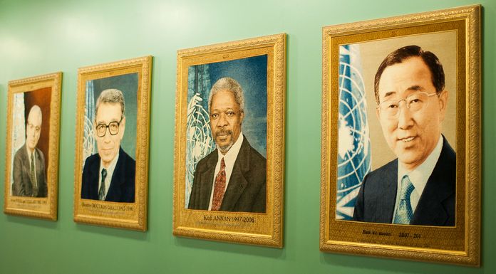 Organizzazione delle Nazioni Unite (ONU)