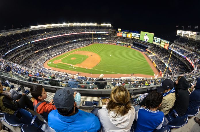 yankee