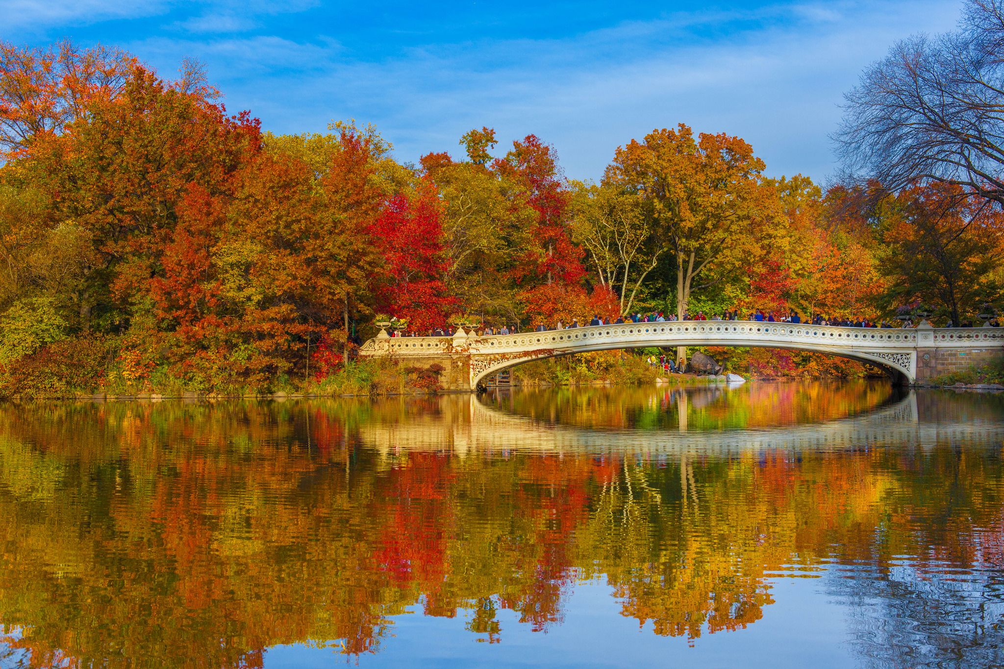 10 motivi per visitare New York in autunno