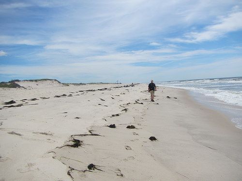 Fire Island