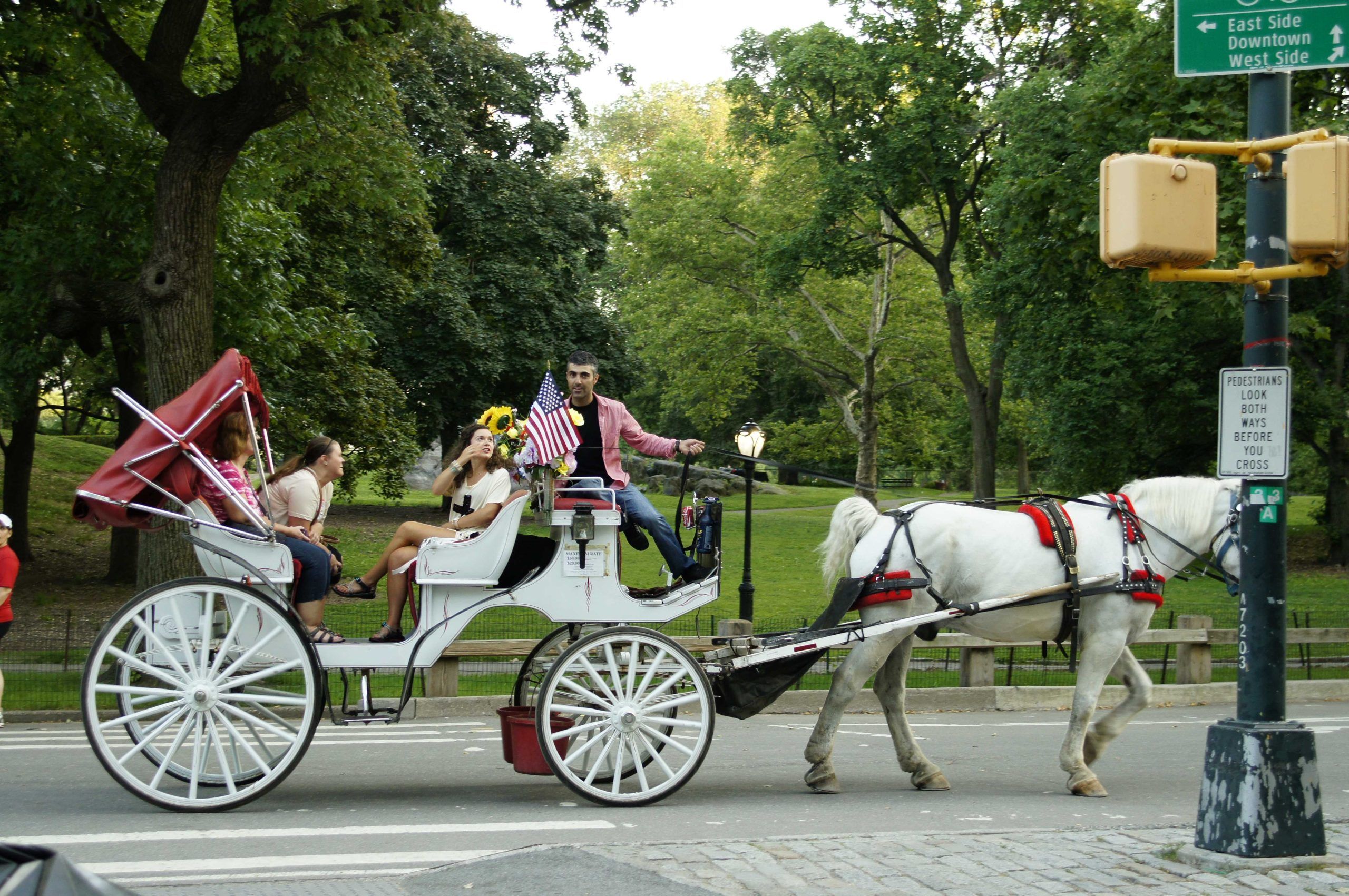Carrozza a Central Park New York