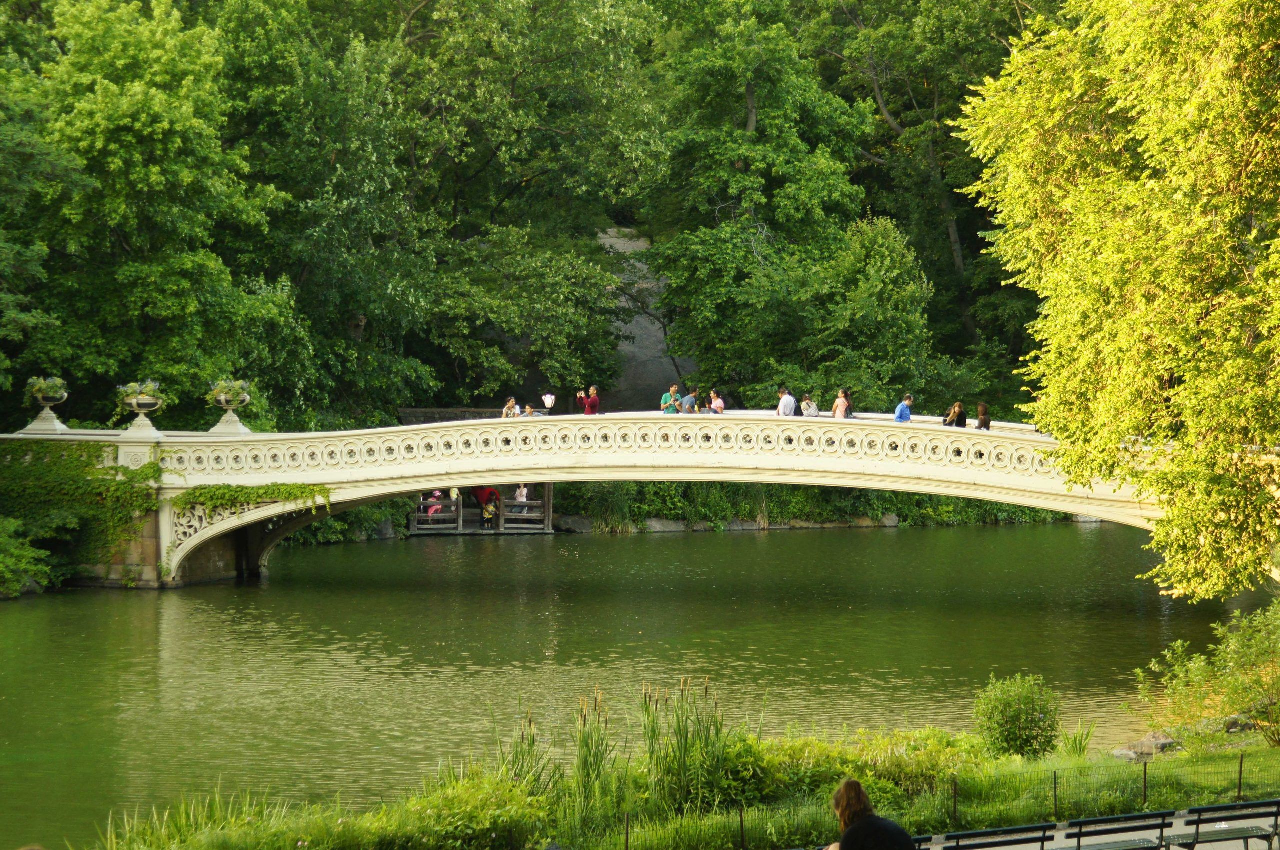 Bow Bridge Central Park New York