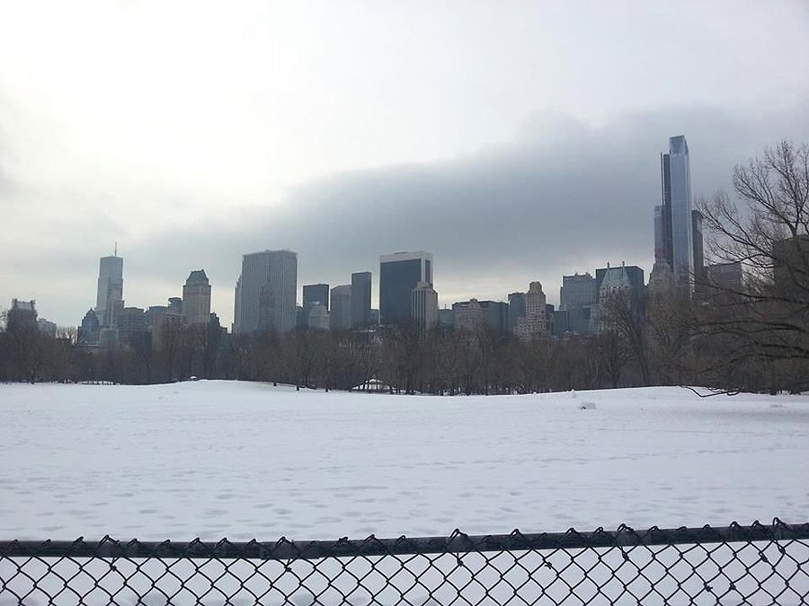 Inverno neve Central Park New York