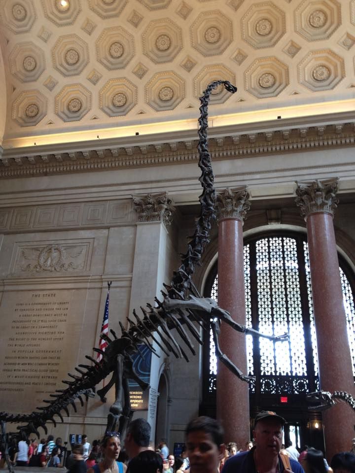 Storia Naturale di New York