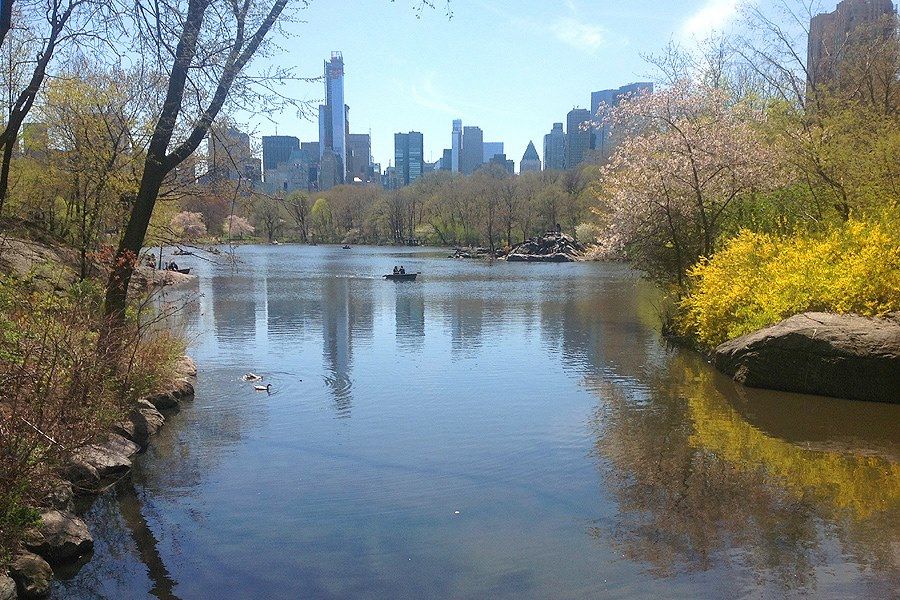 Autunno a Central Park New York