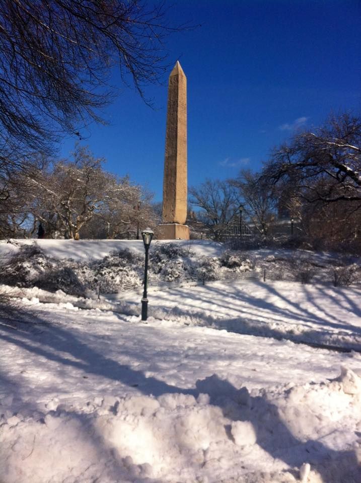 Inverno neve Central Park New York
