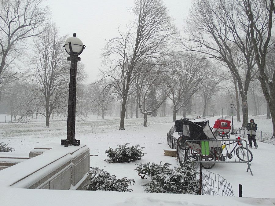 Inverno neve Central Park New York