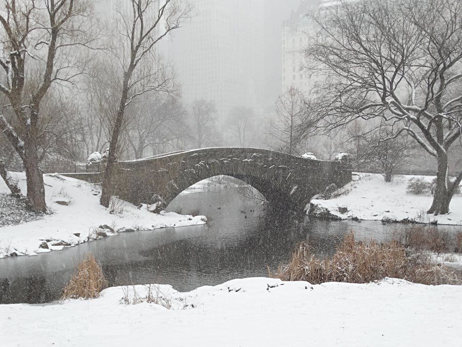 Inverno neve Central Park New York
