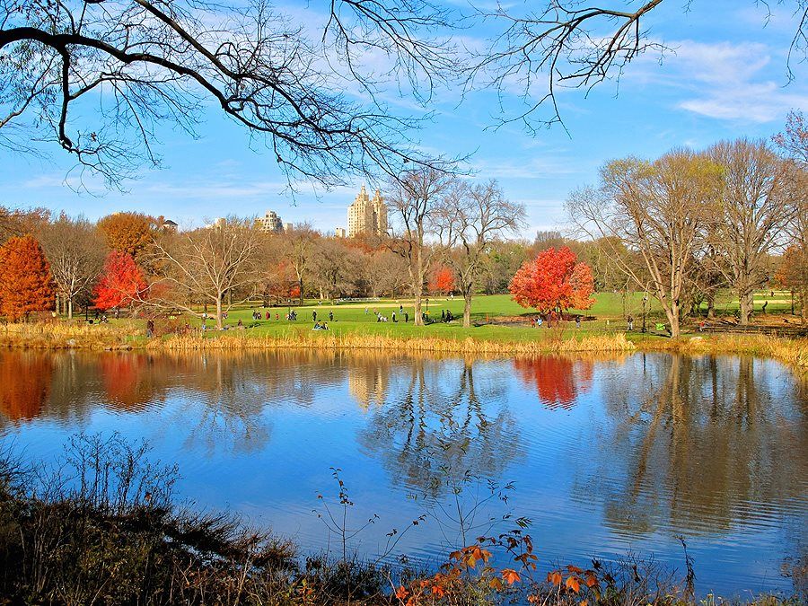 L'autunno fa arrossire le foglie di Central Park