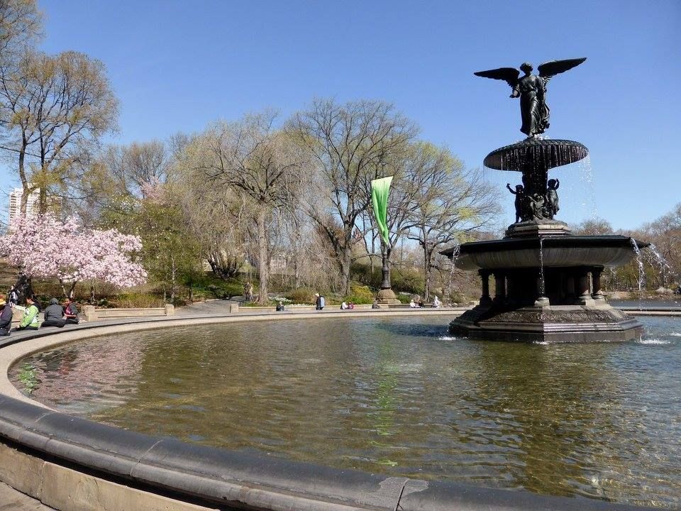 Primavera a Central Park New York