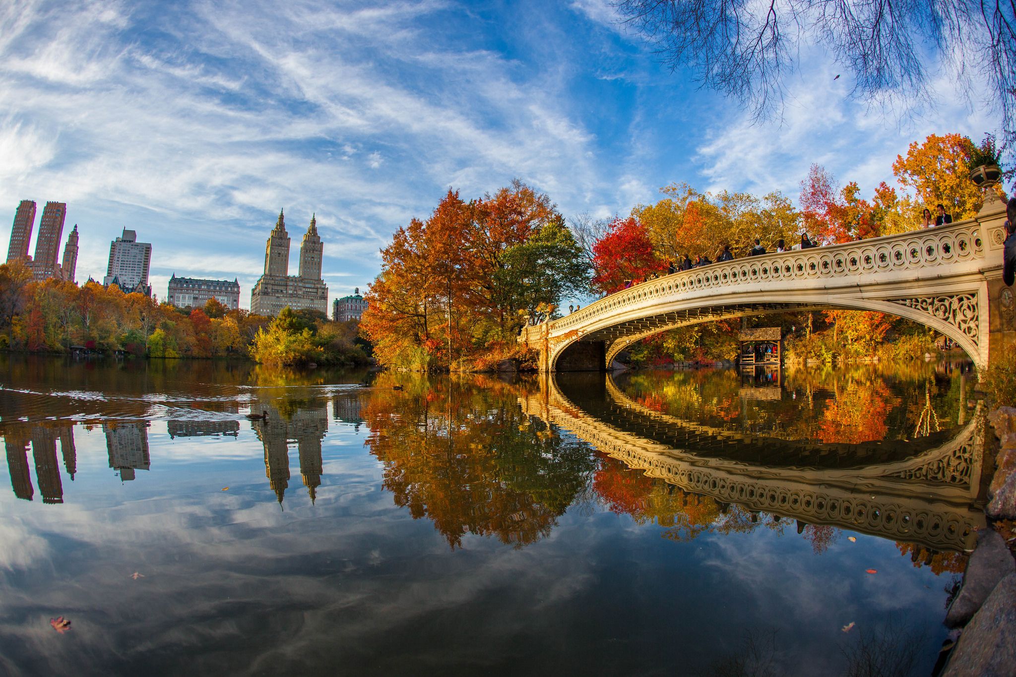 Central Park en automne