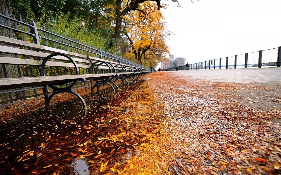 automne New York