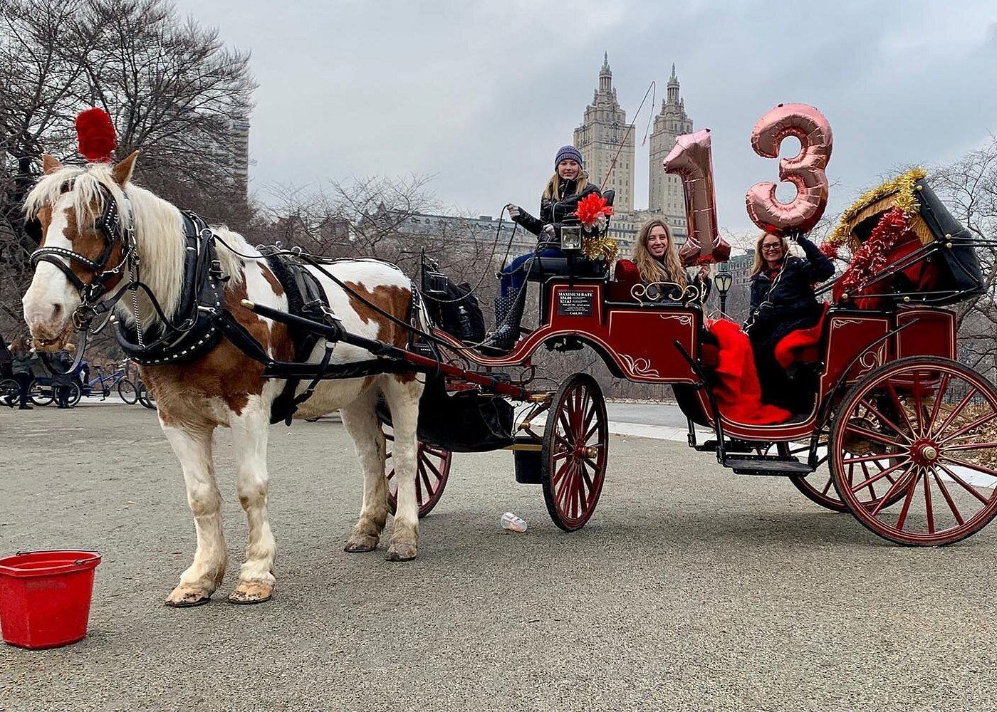 Donne che festeggiano un compleanno a bordo di una carrozza a Central Park a New York