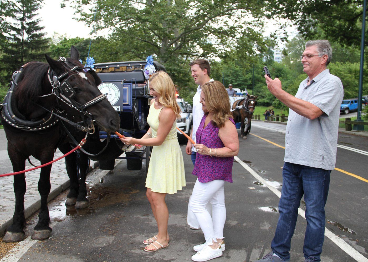 Turisti che danno carote a un cavallo a Central Park