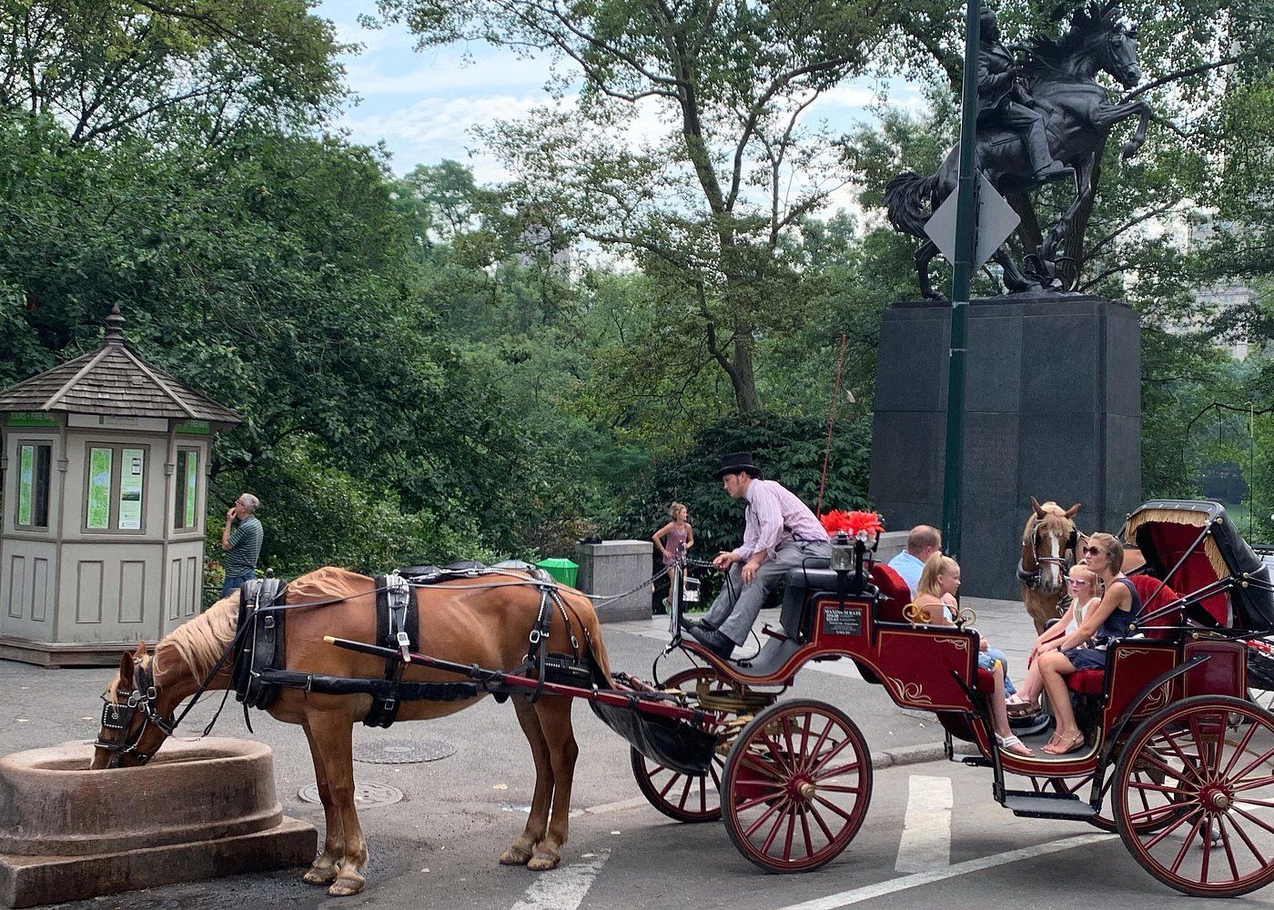 Cavallo che beve da una fontana a Central Park
