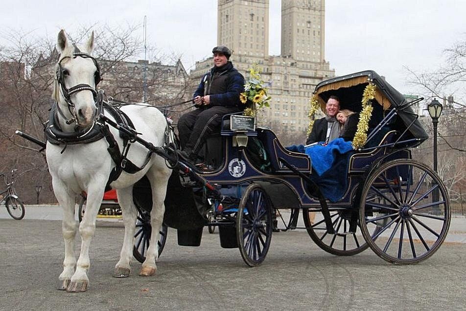 Coppia a bordo di una carrozza trainata da cavalli a Central Park a New York