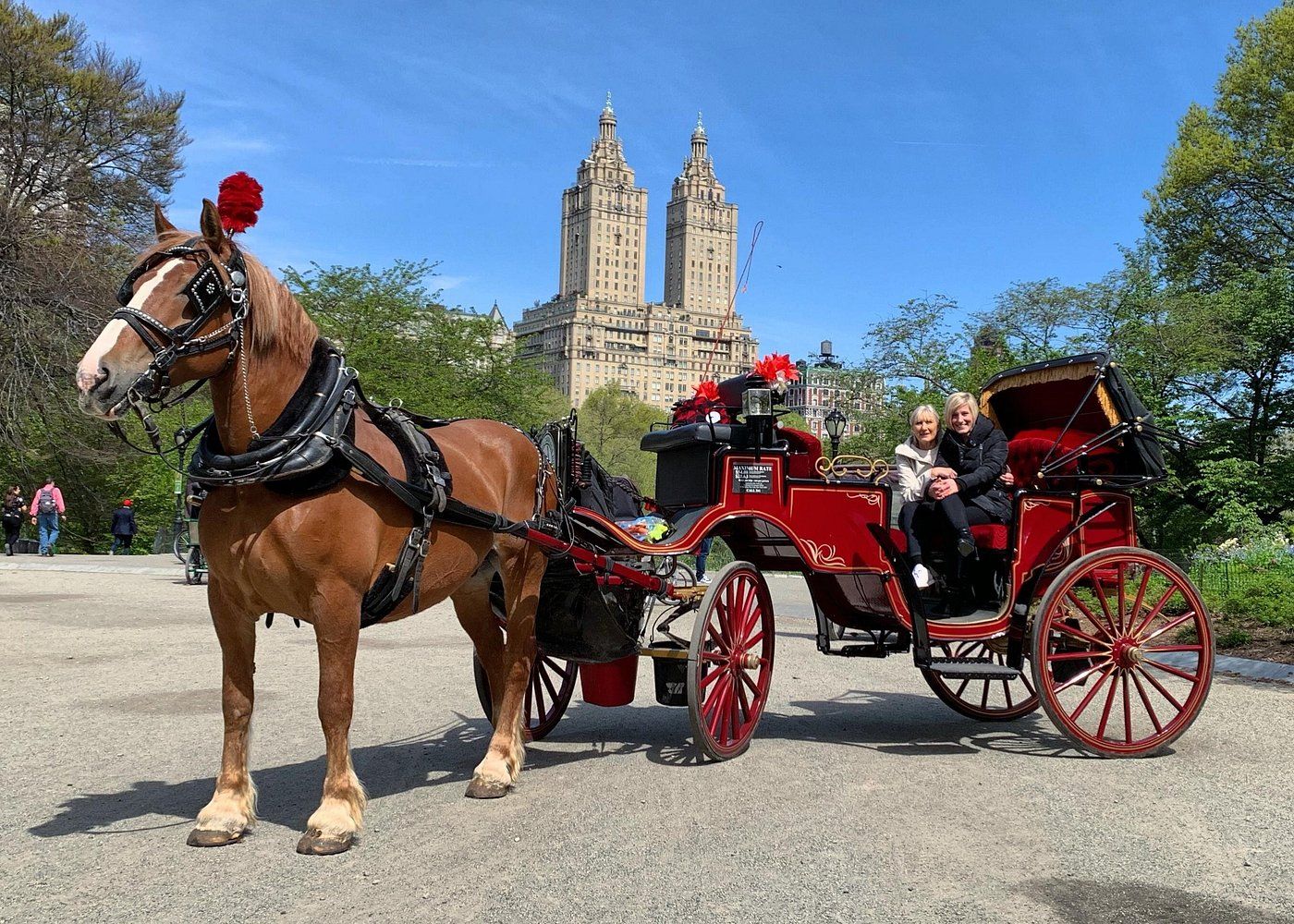 Giro in carrozza a Central Park a New York
