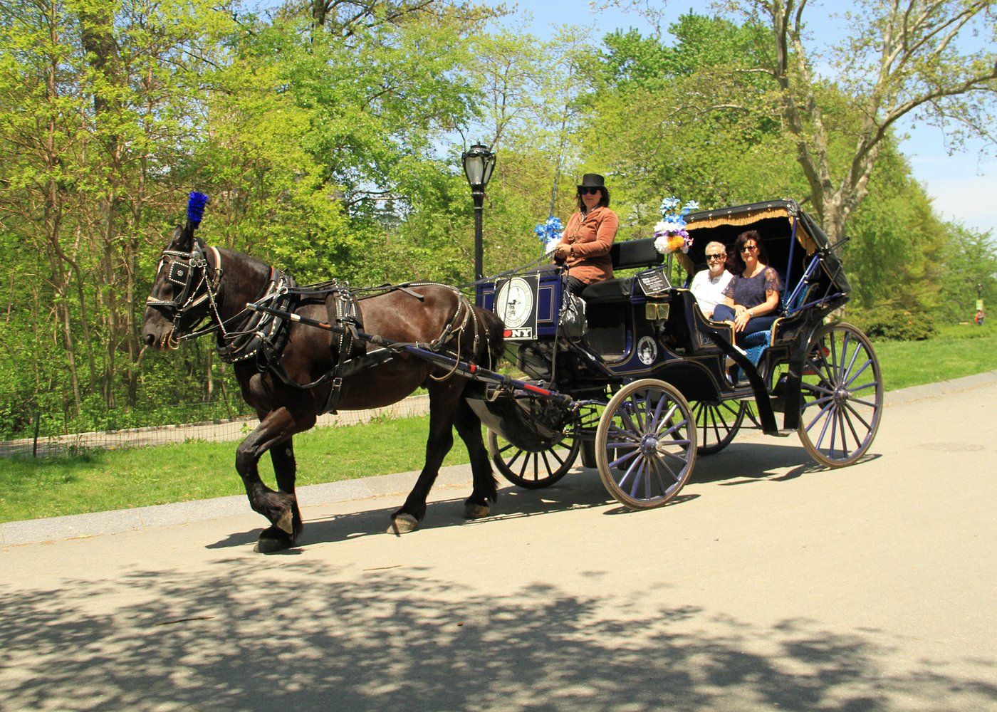 Passeggiata in carrozza a Central Park a New York