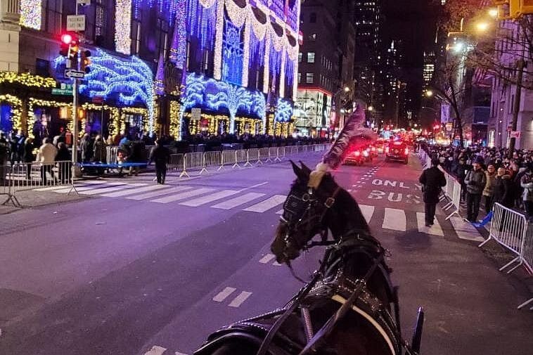 Carrozza sulla 5ª avenue a New York