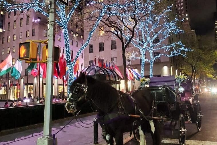 Carrozza a cavallo davanti al Rockefeller Center a New York