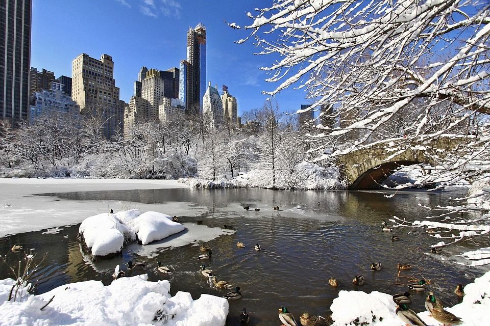 Central Park sotto la neve