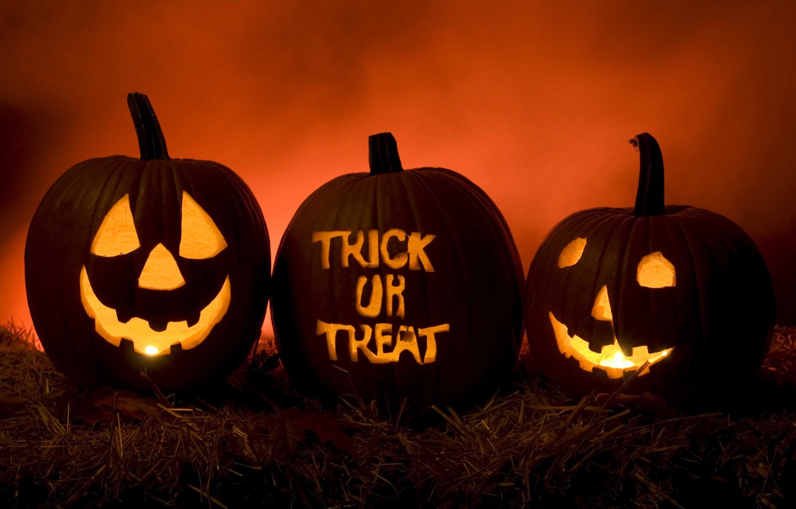 5 cose da sapere su Halloween