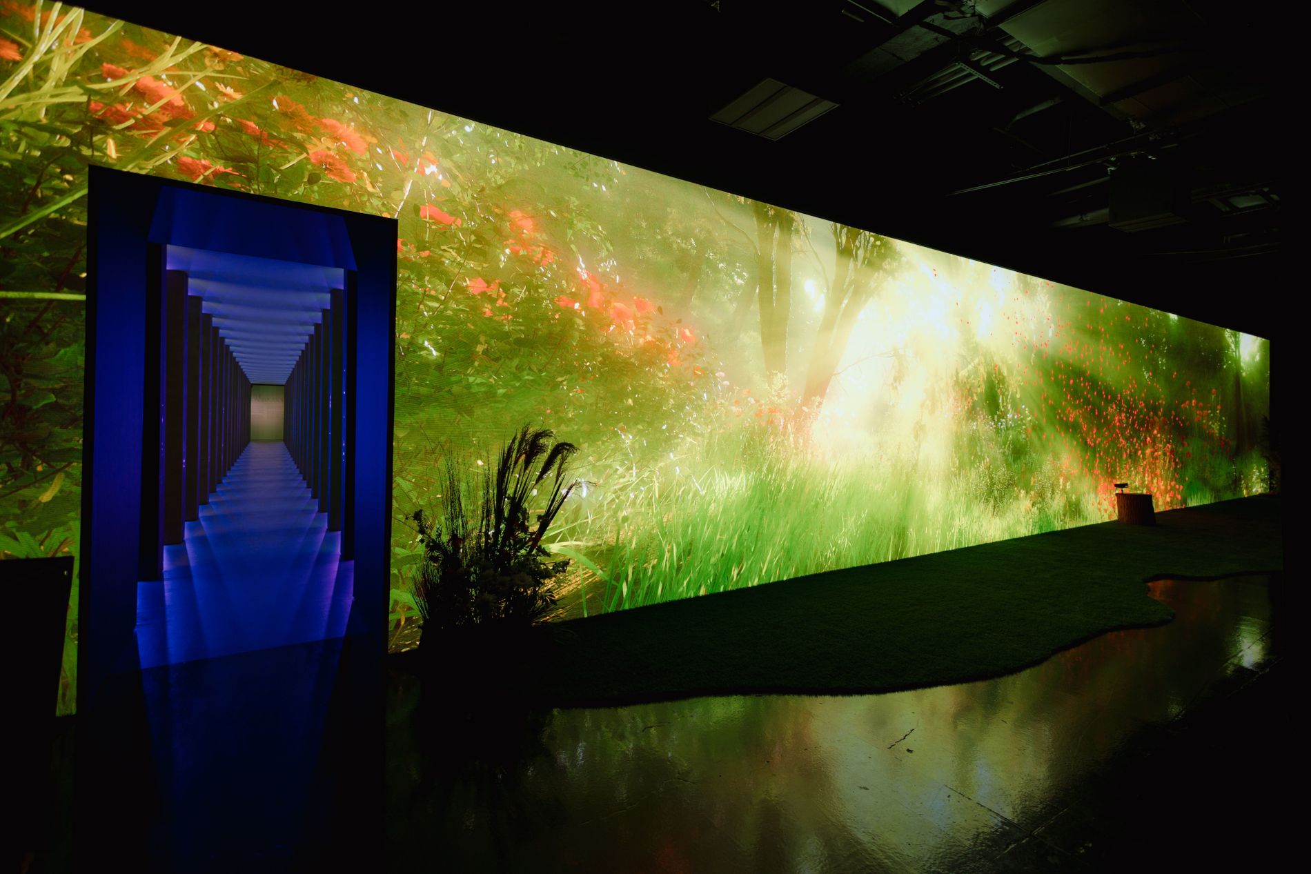 Ingresso dell'esposizione BLOOM al museo HERO a New York