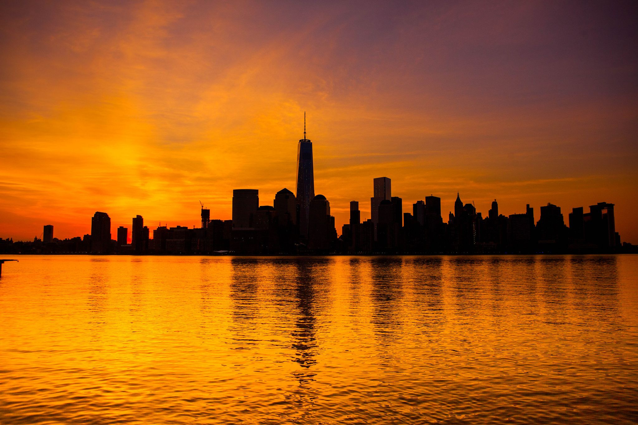 alba new york