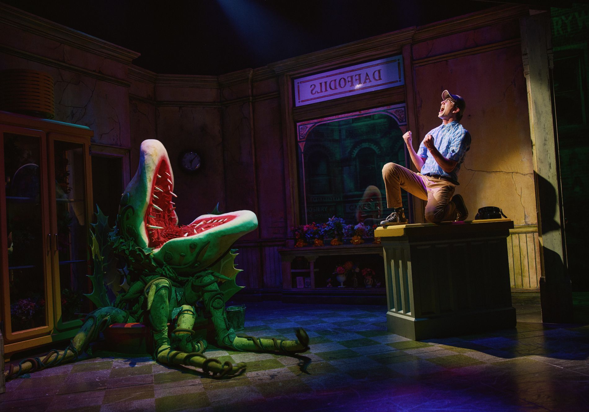 Attore in Little Shop of Horrors