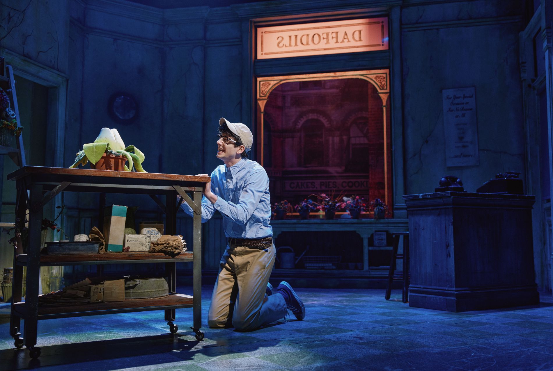 Attore in Little Shop of Horrors