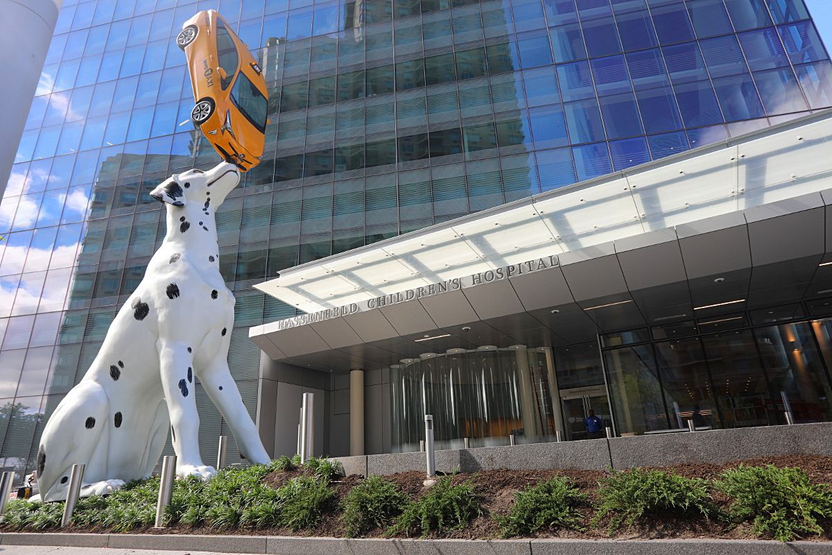 Spot, una scultura insolita da vedere a New York