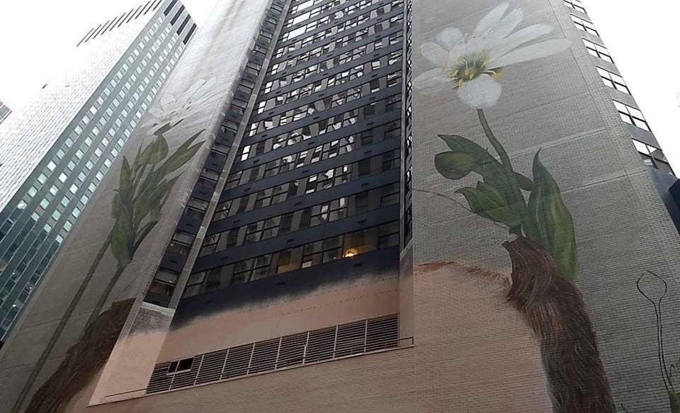 Dove vedere il più alto murale di New York?